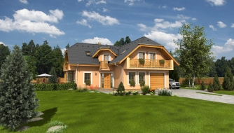 Beautiful large house with basement.